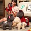 2026 Zodiac Horse Warlord Red Hare Plush Doll - Year of the Horse Mascot Gift