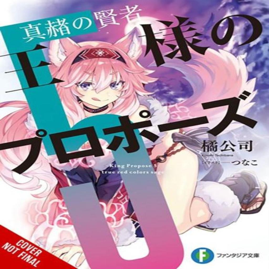 Kings Proposal Vol. 5 Light Novel by Tsunako Tsunako Paperback Book 9781975393243