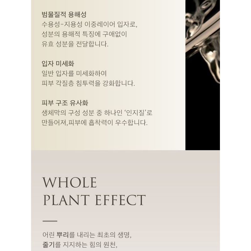 YUNJAC - Whole Plant Effect Essential Cream
