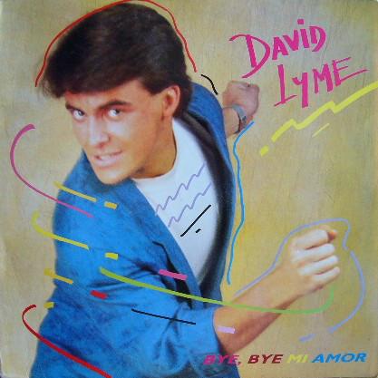 12inch Record DAVID LYME - Bye, Bye Mi Amor / Music STA3655 STAMINA 1987 Netherland Dance & Electronica Used