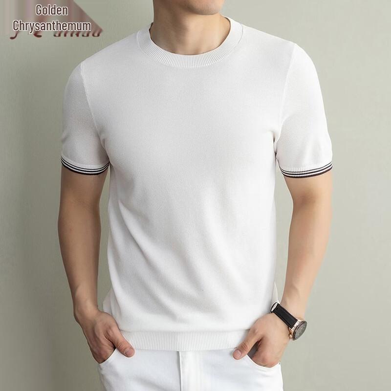 Men's Mulberry Silk Blend Knit Short Sleeve T-Shirt