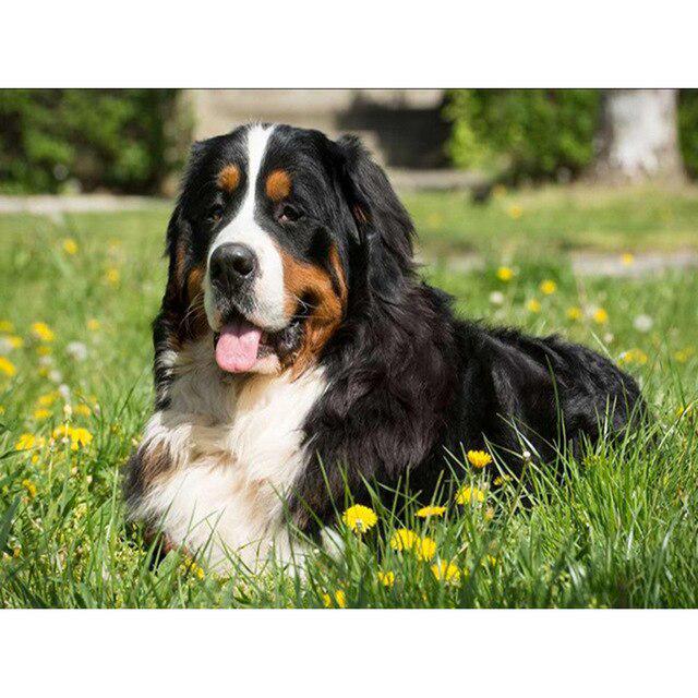 DIY 5D Diamond Painting Full Round Drill Dog Animals Diamond Embroidery Mosaic Rhinestone Picture Cross Stitch Kit Home Decor