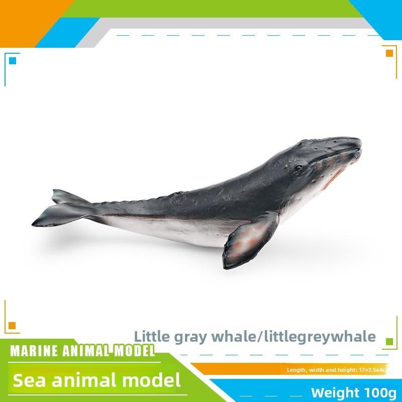 Ensemble de modèles en PVC d'animaux marins pour enfants avec des figures de cétacés réalistes pour le jeu éducatif