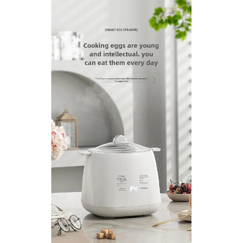 Mini Multifunctional Home Use Automatic Shutdown Egg Boiler 110V Pre-Timed Breakfast Egg Cooker Small Personalized Motorcycle Eq