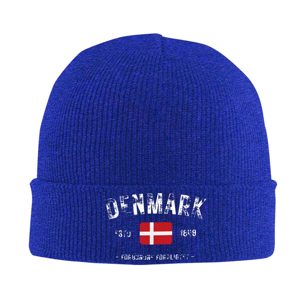 Denmark Estd 1849 Knitting Hat Beanie Hats Outdoor Sport Thermal Elastic Adult Unisex Bonnet Hats Winter Funny Caps Gift Idea