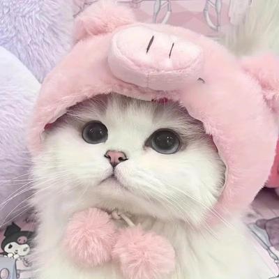 Fun and Playful Cat Headpieces Make Your Furry Friends Stand Out From The Crowd