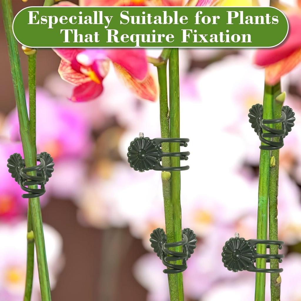 Orchid Support Clips Plastic Garden Plant Growing Fixed Clip Flower Stems Tied Bundle Branch Tomato Grape Vine Climbing Tools