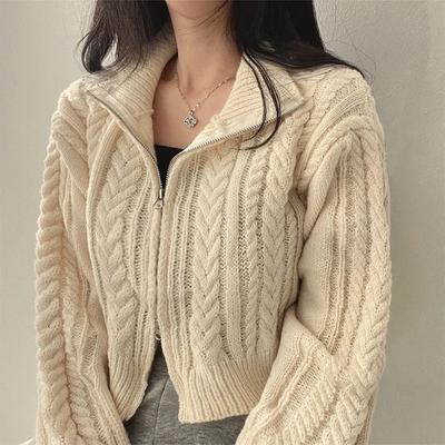 Herbst Frauen Reißverschlüsse Strickjacke Beiläufige Lose Solide Abgeschnitten Pullover Koreanische Kurze Langarm Mäntel Tops Mode Kleidung