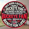 Ohio Buckeye Fan Metal Wall Art For Sports Bar Man Cave Home Decor