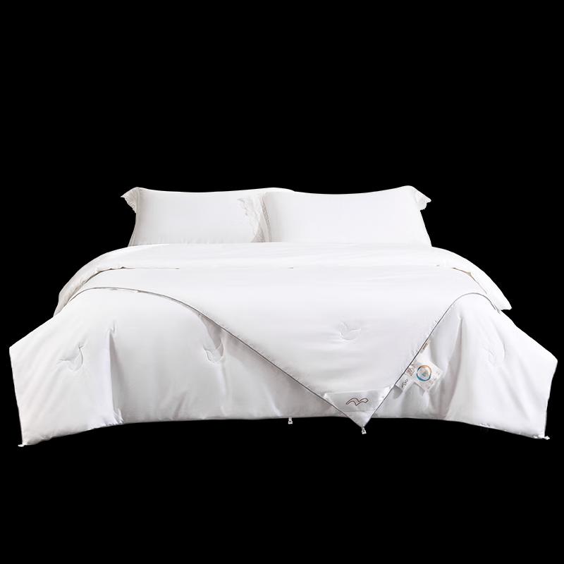 

Mercury Home Textiles Mulberry Silk Quilt