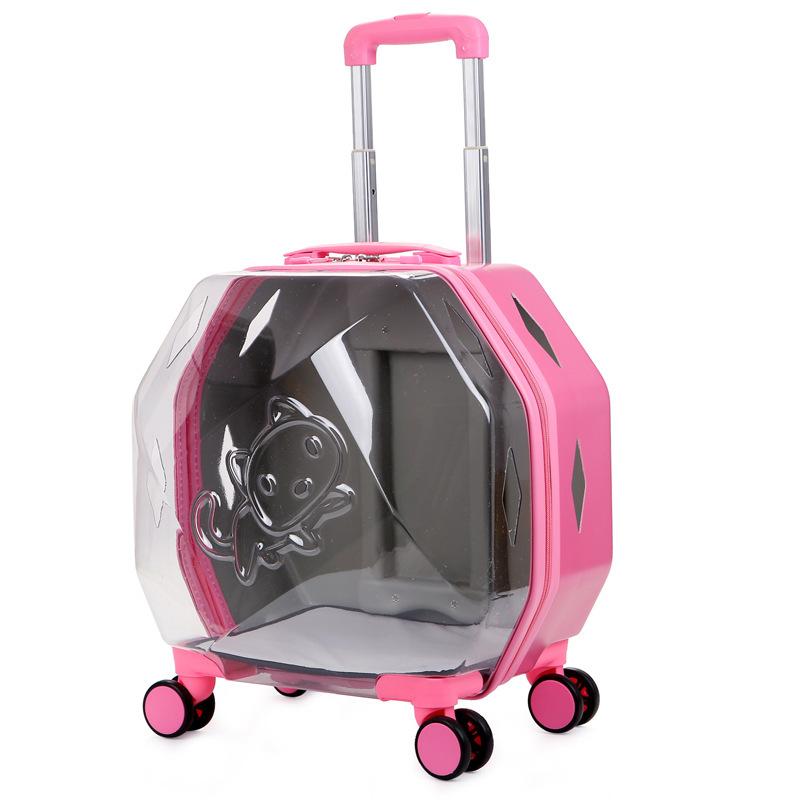 Valise transparente pour animaux de compagnie, grande capacité, valise de voyage pour chien, boîte à bulles Portable d'extérieur, boîte d'aviation 
