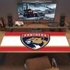Florida Panthers Print  Cushion Non-slip Laptop Tablet Big Mousepad XXL Mat Mini PC Playmat With Lock edge