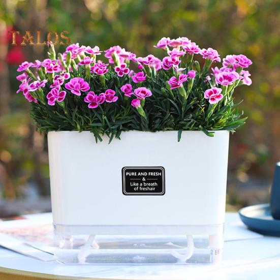 Self Watering Plant Pot with Drainage Holes High Strength Reusable Easy Care Visible Reservoir Indoor Outdoor Planter Pot Flower Vase