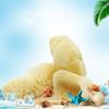 Hermit Crab Sponge Water Dish Sponge For Pet Hermit Crab Tank Humidity Supplies