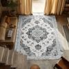 RAKKS Vintage Velvet Area Mat-Non-Slip, Soft & Durable Polyester, Retro Abstract Design,Perfect for Living Room & Bedroom Decor