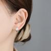 925 Silver Flower Earrings Elegant Simple Zircon Wedding Jewelry for Women