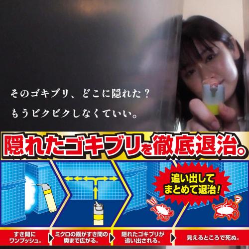 Cockroach One-Push Pro (120-Use) [Cockroach Repellent & Bed Bug Control] One Push Into Crevices Lasts for a Month. Insecticide for Cockroach Control.