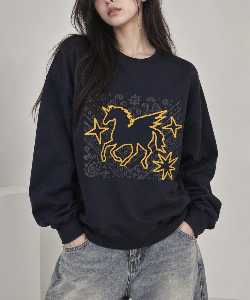DOTON Pegasus Flight Sweatshirt (Black)