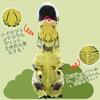 REKUCCI Tyrannosaurus Rex Dinosaur Inflatable Dinosaur Costume for and Perfect for School and Events Size Costume, Halloween, Adults, Kids, Christmas,