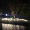 Reed Lamp Waterproof Landscape Lighting Acrylic Frosted Acrylic Rod Garden Lights LED Ground-Mounted Outdoor Decorate Lamp Villa