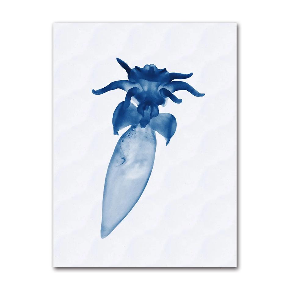 Retro Sea Animal Cyanea Jellyfish Squid Shark Minimalist Art Poster Canvas Painting Wall Prints Picture Living Room Home Decor
