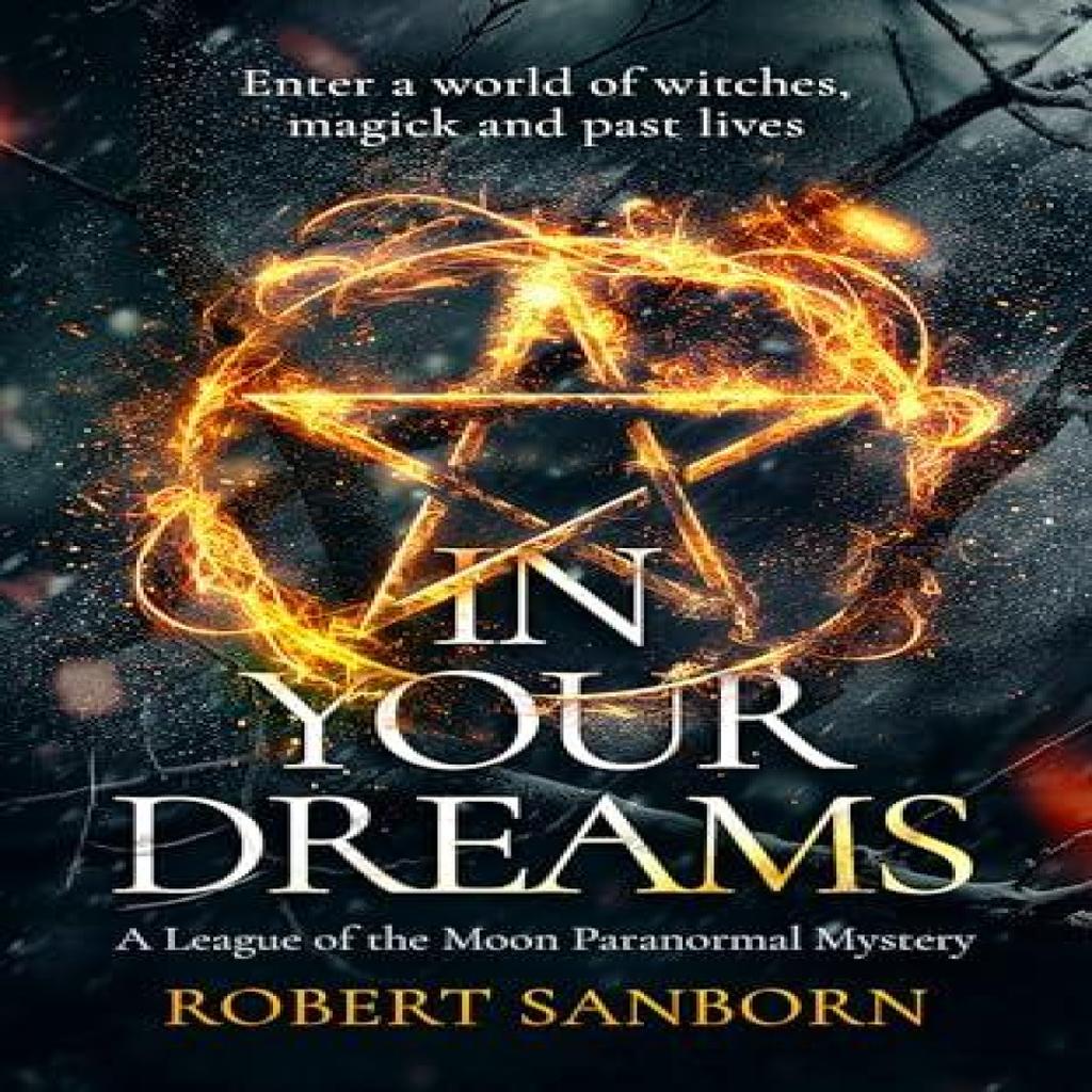 In Your Dreams by Robert Sanborn Paperback Book 9781036705411