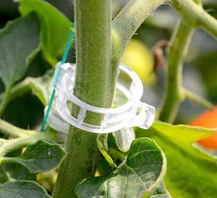 Clips for Tomatoes, Bean Plants, Shoots, 50 Pieces