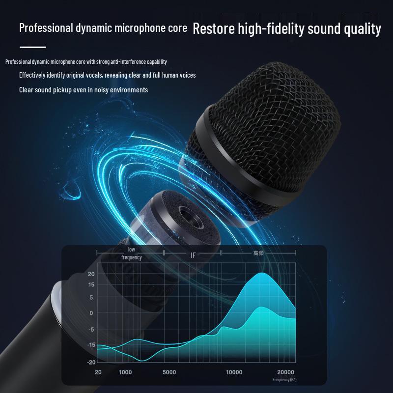 Universal Wireless Microphone for Home, Outdoor Meetings, and KTV Entertainment