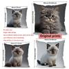 Cute Siamese & British Shorthair Cat Throw Pattern Cushion Cover Suitable For Sofa Bedroom Car Pillow Cover