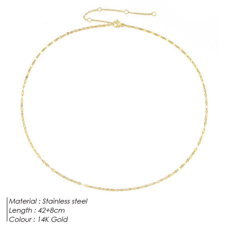 St. Delan Stainless Steel Gold-Plated Titanium Choker Necklace for Women - Simple Niche Design