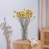 40pcs Dried Craspedia Flowers Dried Billy Button Balls Flowers,dried Flower Bouquet For Arrangement-fast Delivery (best)