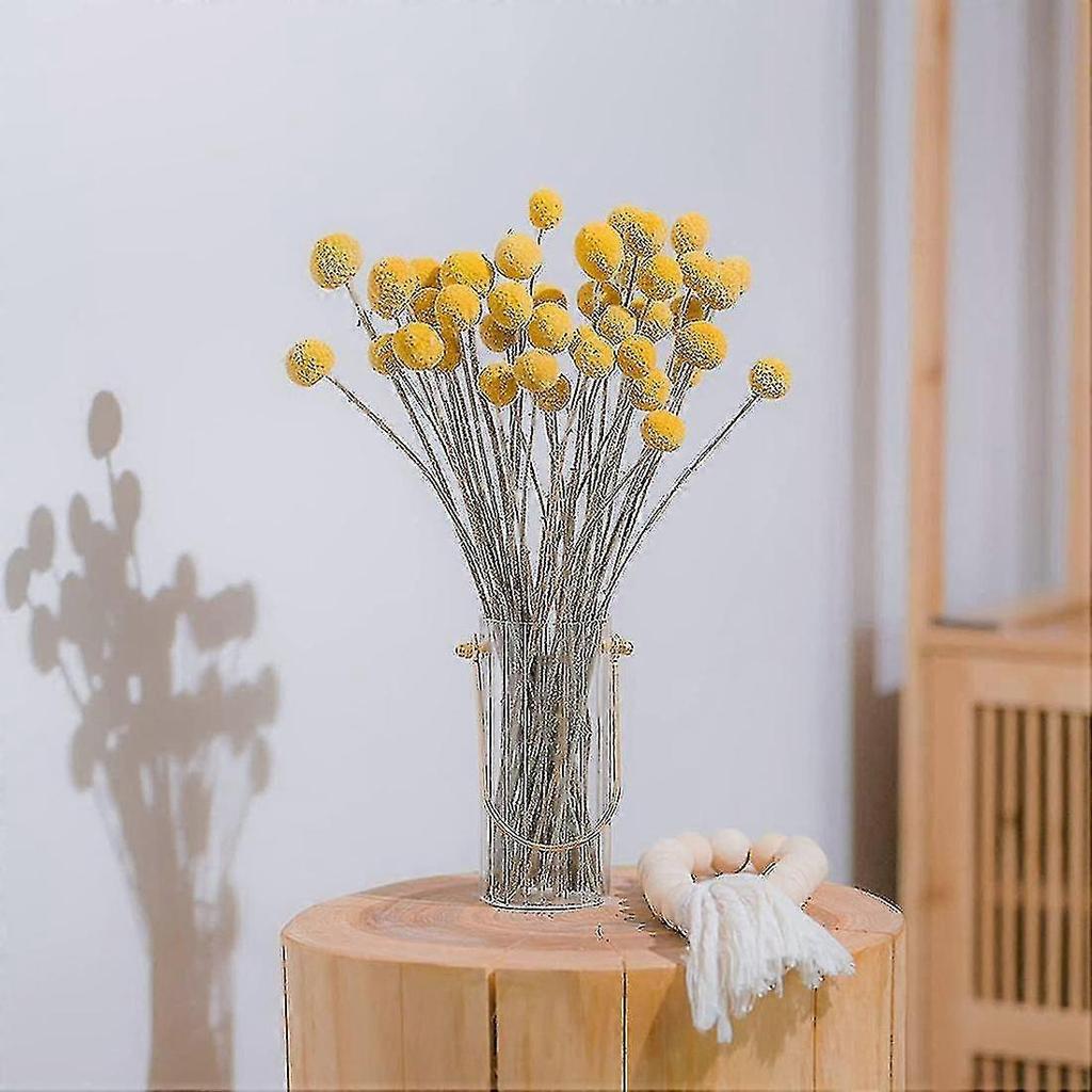 40pcs Dried Craspedia Flowers Dried Billy Button Balls Flowers,dried Flower Bouquet For Arrangement-fast Delivery (best)
