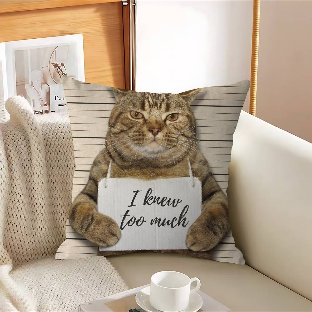 Funny Cat Pillow Cover For Bedroom Room And Living Room Sofa Decorative Cushion Cover