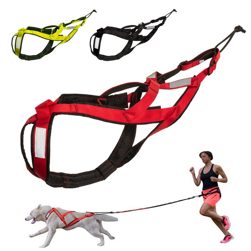 Snow Pull Pet Sled Chest Strap Erha Golden Retriever Samoyed Medium and Large Dogs Running Traction Reflective Chest Back
