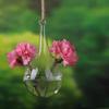 Creative Hanging Glass Vase Transparent Hydroponics Plant Vases Wedding Home Decoration Droplet Shaped Vase Garden Supplies