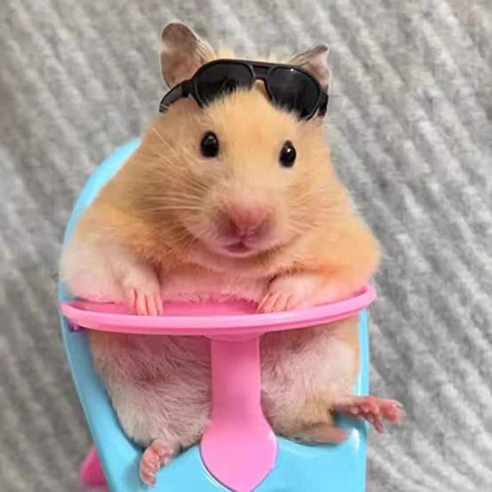 Miniature Hamsters Chair Fashion Pet Dining Chair  Hamster Guinea Pig Hedgehogs