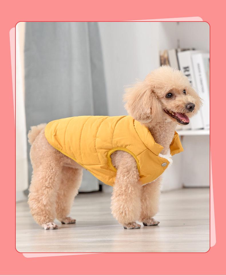 Warme, wasserdichte Baumwollweste für kleine und mittelgroße Hunde – Samtgefütterte Haustierbekleidung für Herbst und Winter