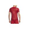 Nike T Shirts Men's Red Crew Neck Moderate Straight Fit DX3614-688