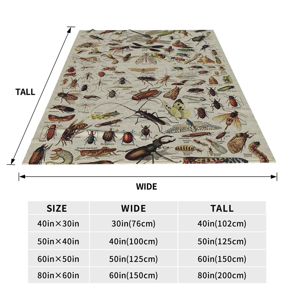 Insects Chart. Scientific Illustration, Text In French Blankets Soft Warm Flannel Throw Blanket Cover for Bed Picnic Travel Home