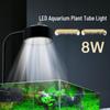 Pești și animale marine – Iluminare acvariu