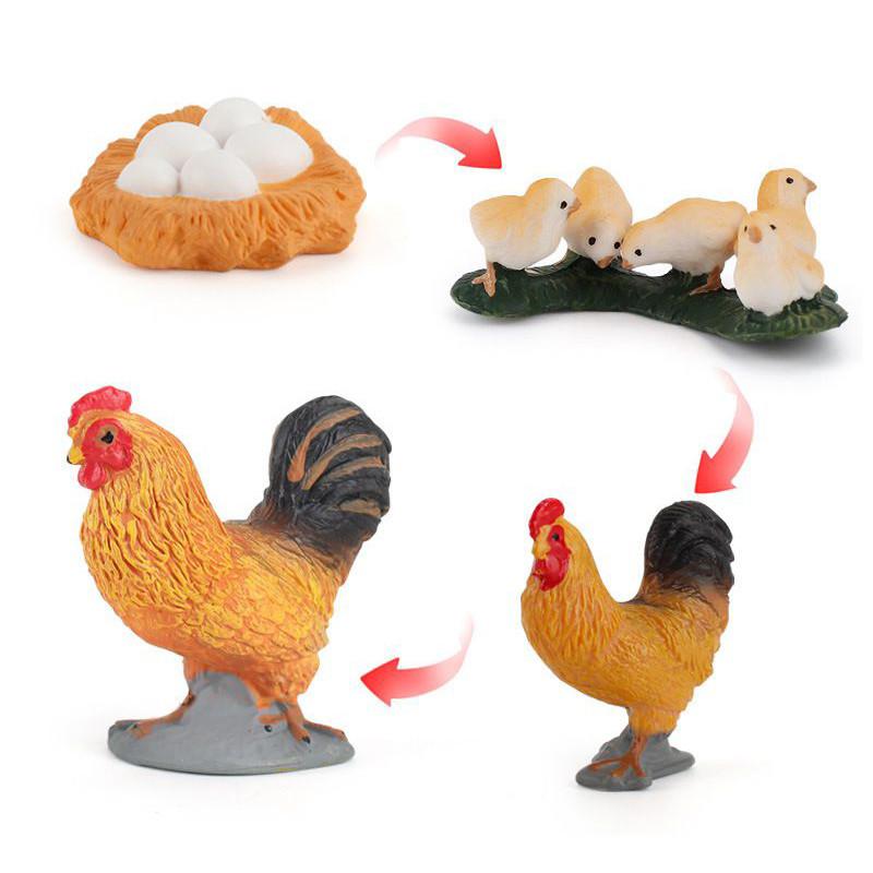 Enchanting Simulation Solid Turtle Chick Frog Animal Growth Cycle Montessori Teaching Aids For Unique Gifts And Decorative Accents