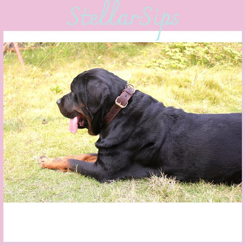 Leather Dog Collar With Vintage Copper Buckle For Medium Large Durable Dogs