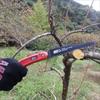 ARS Corporation ARS Pruning Saw Black 200 200B