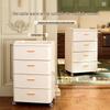 Golden Cat Multi-Layer Plastic Storage Cabinet for Bedroom and Living Room