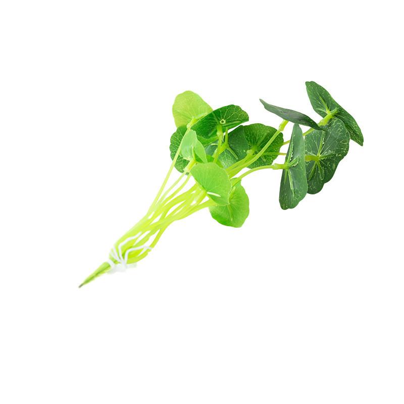 Hydrocotyle Vulgaris Faux Aquatic Green Plant For Photography Event Decor