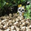 Resin Skull Figurines Set of 40 Mini Skulls Decor for Home and Garden Accent