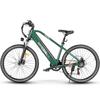 Samebike RS-A01Men 1.0 Mountain Electric Bike 250W 36V15AH Battery 27.5inch