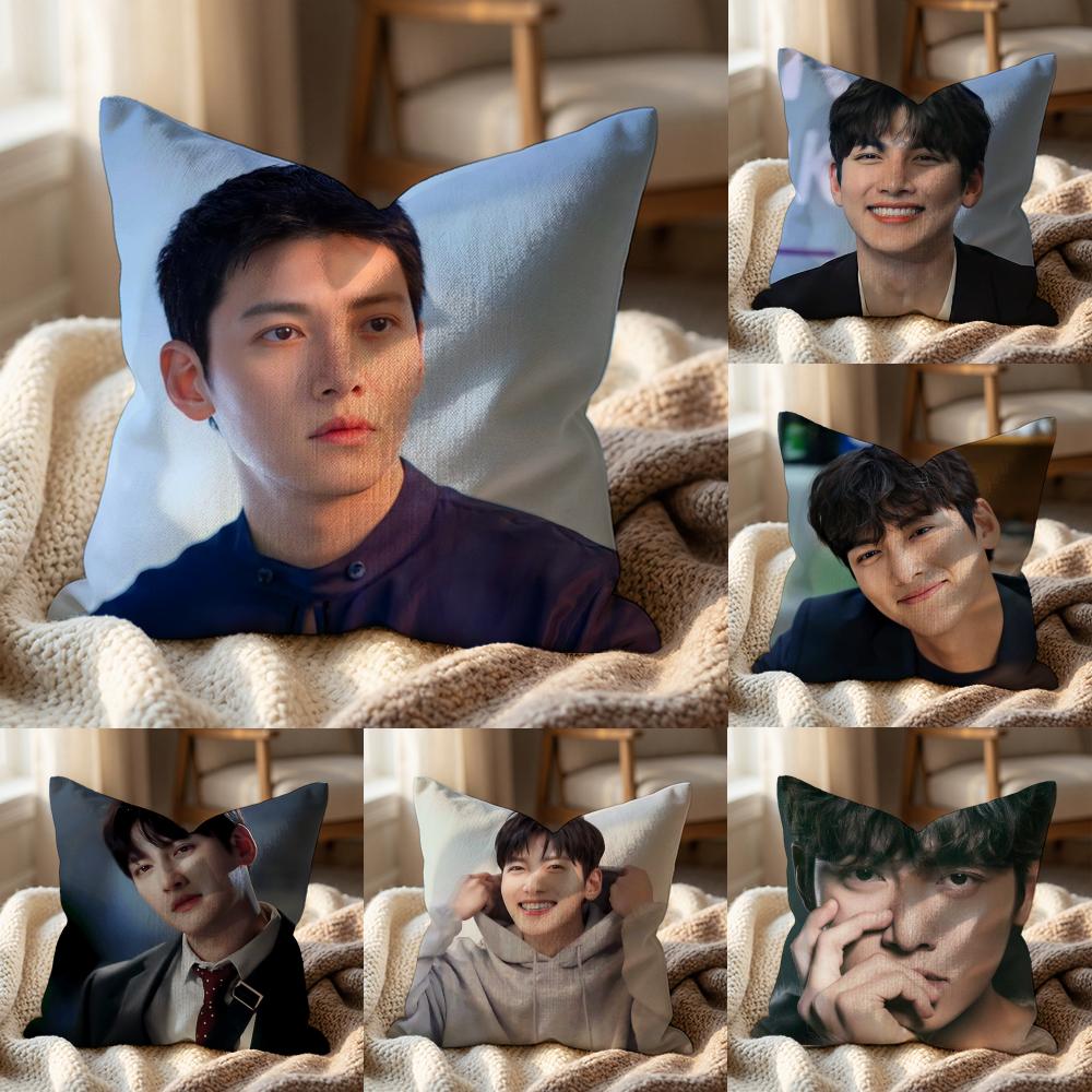 J-Ji C-Chang Wook Cushion Cover Multi-Scene Pillow Cover for Home & Car - Reversible, Soft & Durable for Daily Use