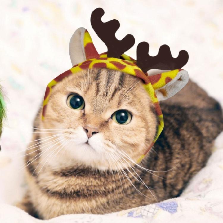 Pet Hat Cute Animal Shaped Headwear Pet Photo Props Suitable for Cats and Dogs