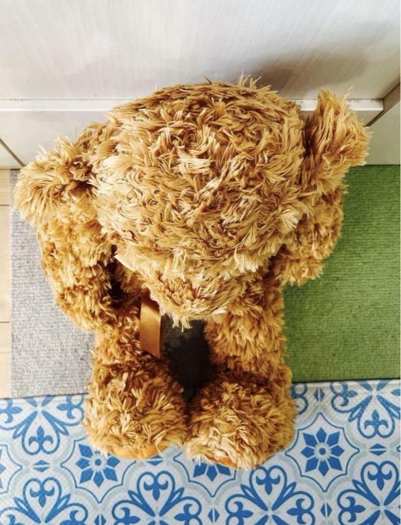 [USED] Final Price Plush Toy Bear Fluffy Teddy Bear Camel